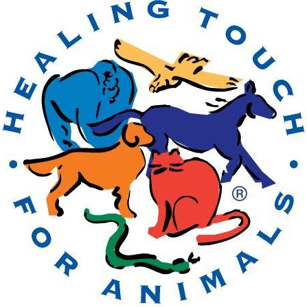 Healing Touch for Animlas (HTA)